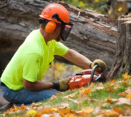 tree services Lewisburg